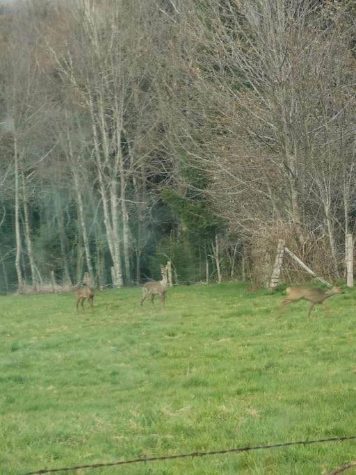 La Magie Entre Deux Lacs Villa Gerardmer Luaran gambar